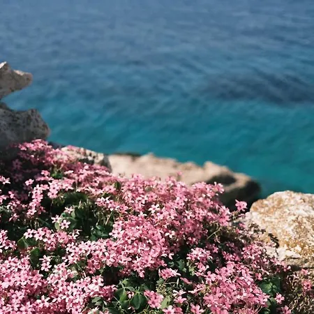 Villa Infinity View *
