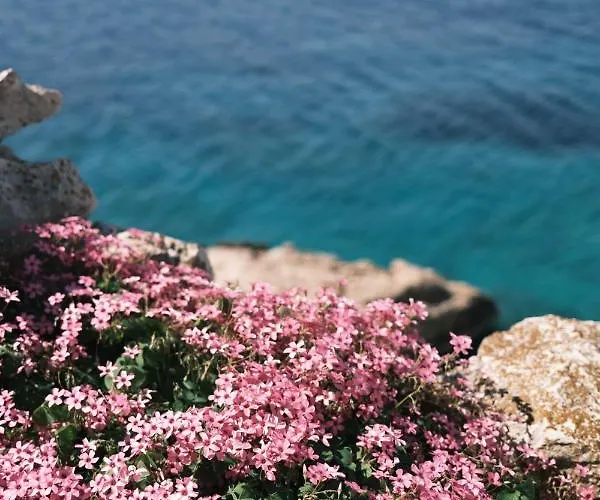 Villa Infinity View *